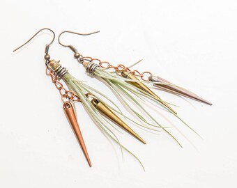 Living Air Plant (Tillandsia) Earrings- Funky/Unique/Green - Custom