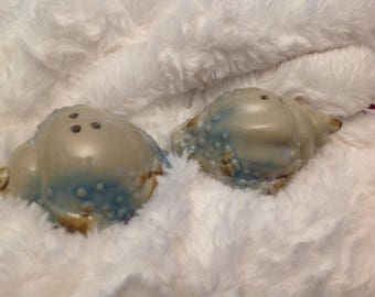 Vintage sea shell salt and pepper shaker