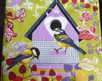 Chickadees and nest paper towel