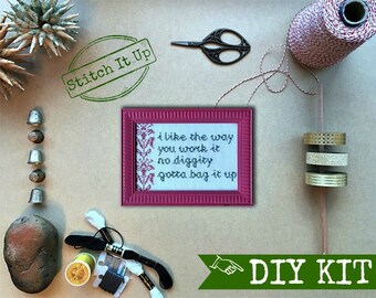 Inappropriate Cross Stitch - DIY KIT - I Like The Way You Work It, No Diggity, Gotta Bag It Up - customize-able - Subversive and Hilarious