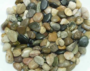 Multi color River Pebbles | natural colors | decorative | vase filler | aquarium rocks | garden rocks | fountain rocks | 32 oz. bag