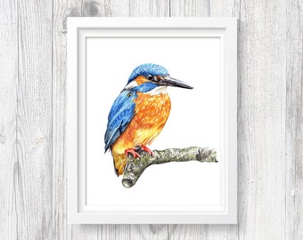 Kingfisher painting | Etsy