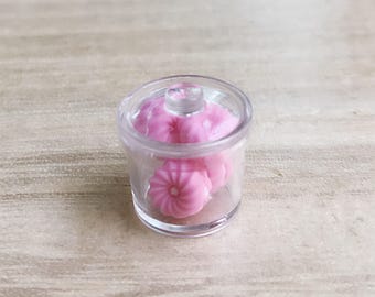 Miniature Cookies in Acrylic Bowl with lid,Miniature Cookie,Dollhouse Cookie,Miniature Sweet,Dollhouse Bakery