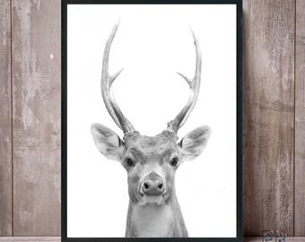 Deer Print, Deer Antlers, Animal Gift, Deer Art, Nursery Decor, Deer Black and White, Animal Print, Deer Poster, Deer Photo, Deer Wall Art