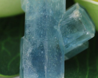 Gemmy Aquamarine var. Beryl Crystal Mineral Specimen AQUA18
