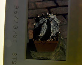 2 small sets of Kodachrome slides