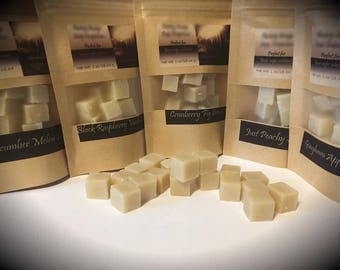 Choose any 6 scents 1 oz wipe bit packs!