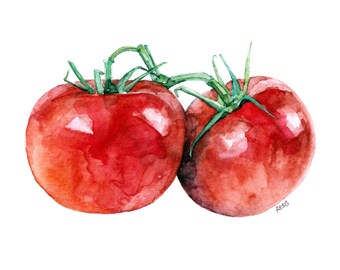 Tomato Painting - Print from Original Watercolor Painting, "Two Tomatoes", Kitchen Decor, Red Tomatoes