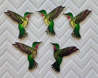 Hummingbird Magnets - set of 5