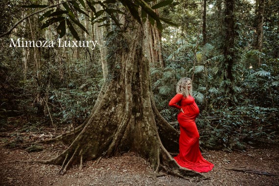 Maternity Gown Photography, Long Sleeves Maternity Dress, Maternity Photography Prop, Pregnancy dress, maternity photo prop, long sleeve