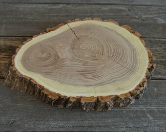 Large Elm Tree Slice- Wall Hanging, Candle Stand, Centerpiece, Large Wood Slice, Cake Stand (WS6031)