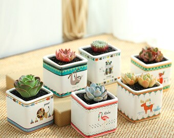Set of 6 - Cute Style Ceramic Planter Set for Succulent, Mini Planter, Ceramic Planter, Ceramic Pot, Mini Pot, Home decor, Office Decor,