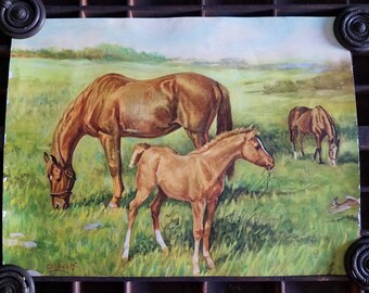 Vintage Lithography by Ole Larsen. Horses Grazing