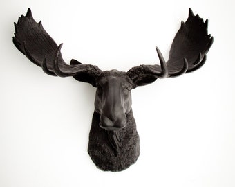 Faux Taxidermy Moose Head - The Leonard - Black Resin Moose Wall Mount - Faux Taxidermy Art - Chic Animal Head Decor By White Faux Taxidermy