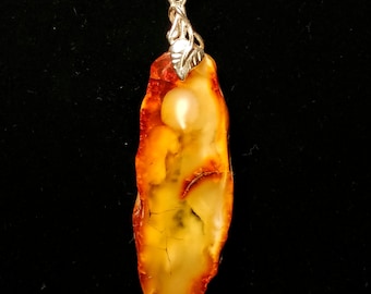 Rare Landscape Baltic Amber Pendant.