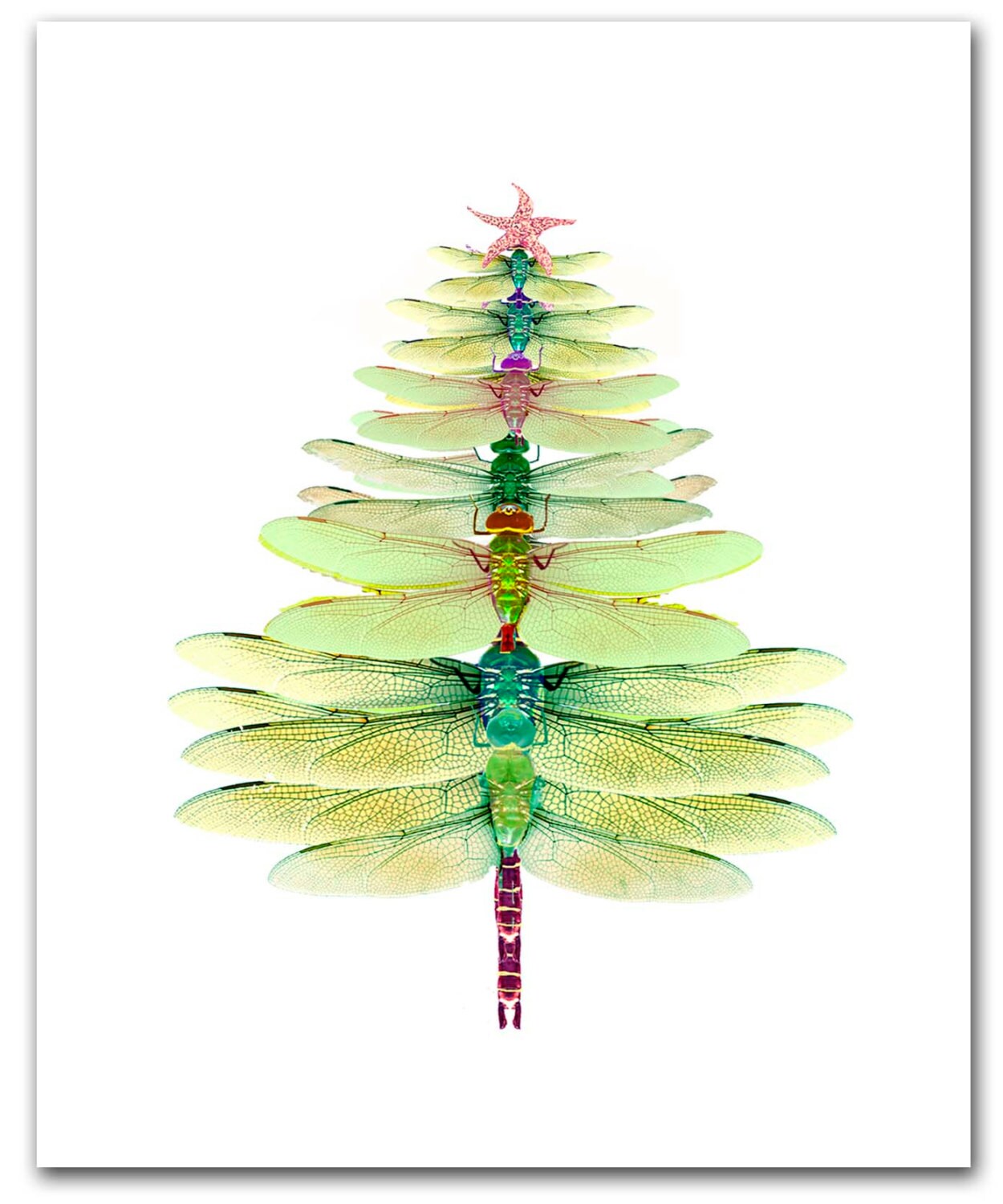 christmas tree cards
