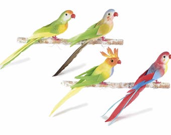 Artificial Parrots with Real Feather Tail Set of 8 Assorted