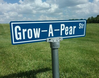 Personalized Street Sign, includes the post cap, Made to order street sign,