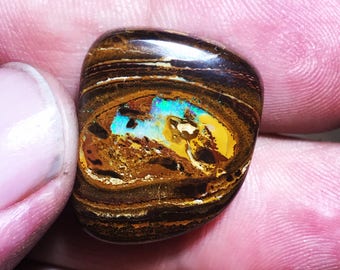 Koroit boulder opal nut cabochon
