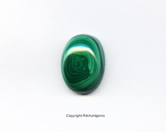 Natural 14x10mm Loose Oval 8.76ct Malachite Cabochons for One