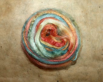 Hand dyed Tussah silk robin in combed