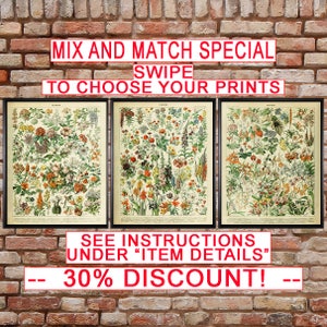 French Flower Prints, Discounted Set of 3 Vintage Flower Posters Botanical Prints Tree Wall Art Home Decor #vi996
