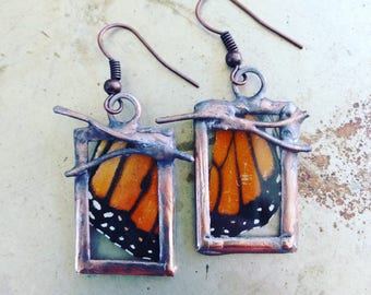 Butterfly Earrings Twig Jewelry Monarch Wing