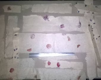 Large Lokta Paper Bundle Offcuts/Remnants!