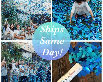 2 - 12 inch Confetti Cannons Sale! Ships same day! 12 Inch Confetti Cannon Gender Reveal Confetti Cannon