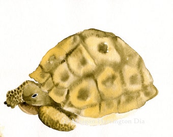 Animal Painting - Desert Tortoise - Fine Art Print - Turtle art - Southwest painting