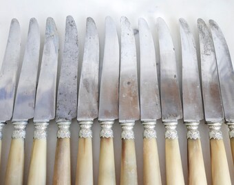 Set of 12 French horn Knives-Vintage french table knives in its original box-Frenc hornknives-Diner table knives, Shabby Chic table decor