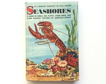 Vintage Hardbound Golden Nature Guide- Seashores / Hardcover Seashores Guide / Vintage Field Guide / Beach Ocean Book / Homeschool Book