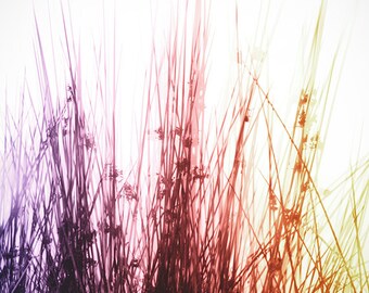 Abstract print, colorful, abstract photography, nature photography, framed picture, matted, framed art, nature print, 8x12, 16x24, 24x36