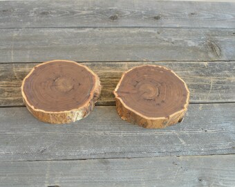 2 Twin Elm Tree Slices- Wall Hanging, Candle Stand, Centerpiece, Large Wood Slice, Trivet (WS6002)