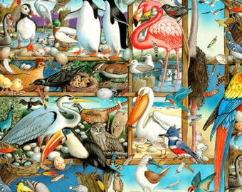 Birdwatching Multi from Elizabeth’s Studio