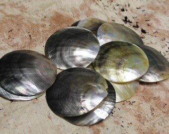 2 1/2 to 3 inch diameter blacklip mother of pearl round shell-ONE SHELL, mop, tahitian costume