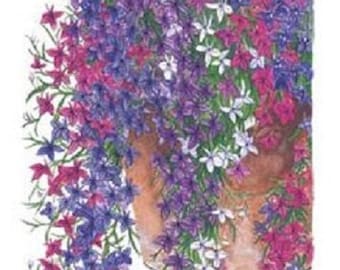 50+ Lobelia Regatta Trailing Mix / Perennial Flower Seeds
