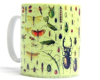 Insects Mug, Insects Gift, Bug Mug, Birthday Gift, Ideal Gift for Insect Lover.