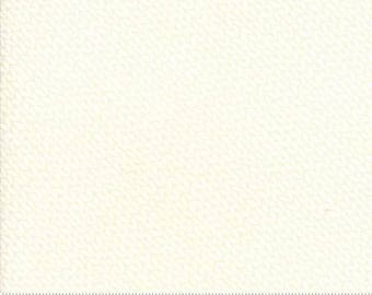 Authentic Etc Cream Tonal Weave Print 5676 11 Sweetwater for Moda