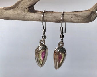 Watermelon Tourmaline Earrings