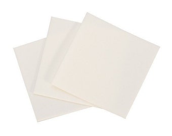 Pro Polish Polishing Pads 10/pk