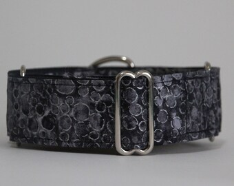 Greyhound Grey and Silver 1.5" Martingale Collar **New Sizing**