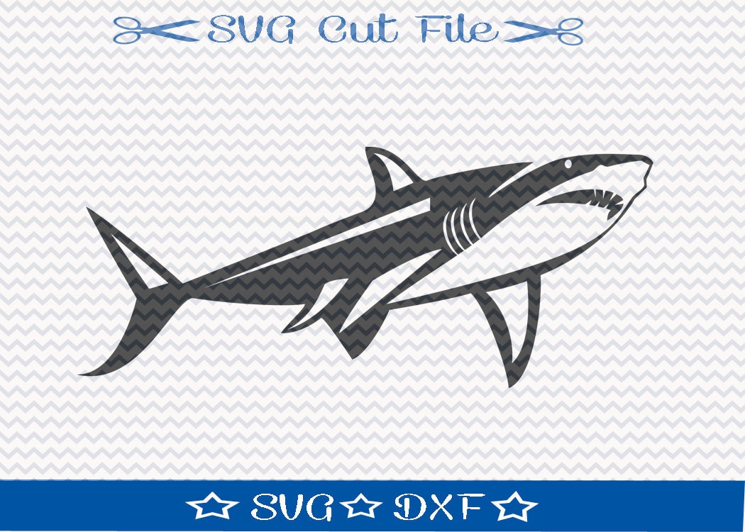 Free Free 125 Free Shark Svg Files SVG PNG EPS DXF File