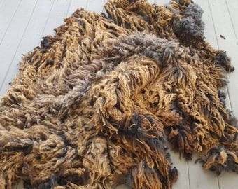 Purebred Coopworth Fleece Ewe 2099