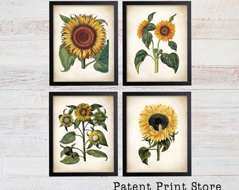 Sunflower Botanical Art Prints. Sunflower Decor. Botanical Print. Botanical poster. Botanical Illustration. Botanical Art. Farmhouse. 211