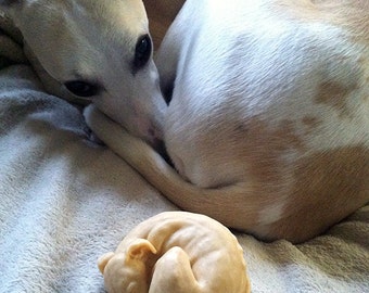 Sleeping Hound Soap