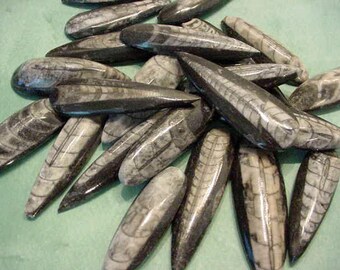 Lot of 4 Fossil Orthoceras cabs (solid), jewelry supplies, wire wrapping 13T121