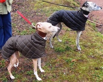 Whippet waterproof and fleece lined all in one collarless coat