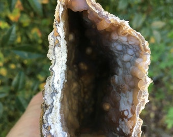 Fossilized Coral Botryoidal Cluster Pocket 4-16-2-18
