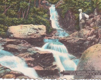 Crawford Notch, White Mountains, New Hampshire, Beecher's Cascade - Vintage Postcard - Postcard - Unused (A9)